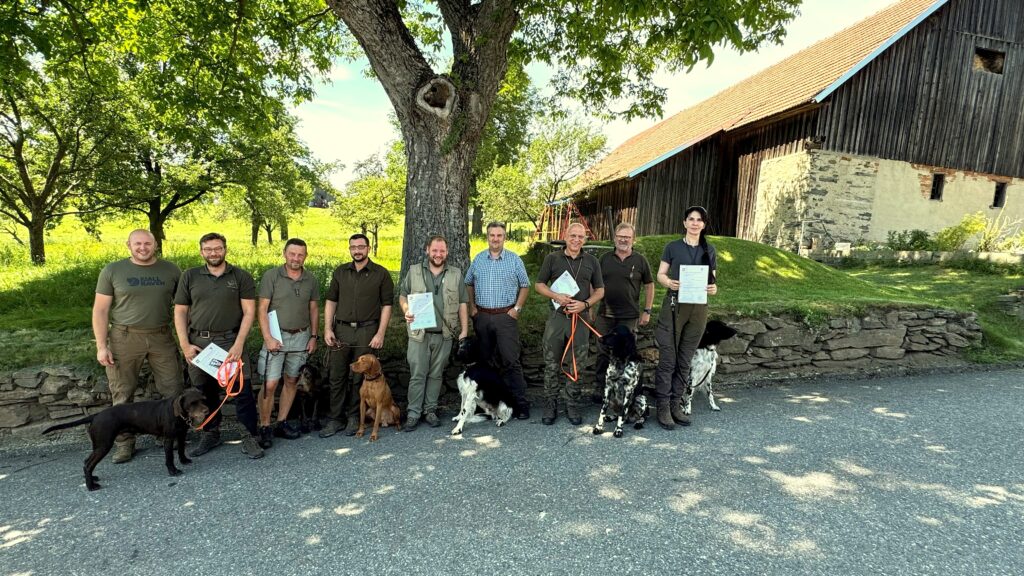 Sechs Gespanne haben die Zertifizierungsprüfung für den ASP-Kadaversuchhund positiv absolviert und können künftig bei der Fallwildsuche von Wildschweinen unterstützen. Das ist ein wichtiger Beitrag zur Eindämmung der Tierseuche. Landesjägermeister-Stellvertreter Gerald Friedl (4.v.re.) machte sich vor Ort ein Bild von der Prüfung. Fachausschuss-Vorsitzender Johannes Schiesser (2.v.re.) verantwortet die Ausbildung und Zertifizierung